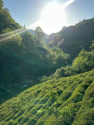 Booktan Konular Doğu Karadeniz Buluşması - Resim 15
