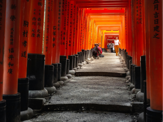 Uzakdoğuya Yolculuk  Kore-Japonya - Resim 1