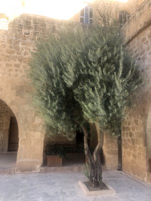 Mardin Bienali - Resim 2