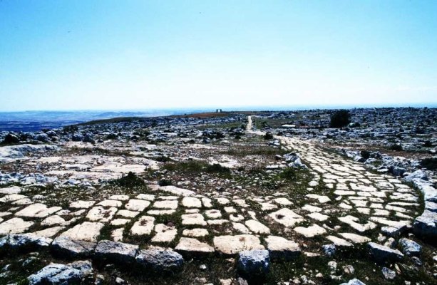 Güneye Yolculuk - Resim 3
